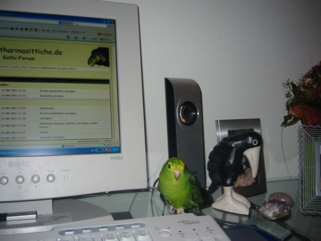 Hier bin ich, hier sitz ich, hier bleib ich!