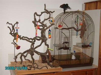 Ja... und das ist meine Bude... und mein Kletterbaum!