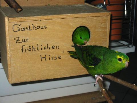 Das ist unsere Stamm-Kneipe! Hier kehren wir am liebsten ein!